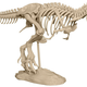 Illustration for article titled Start Your Own Private Museum With a 3D Printer and This T-Rex Model